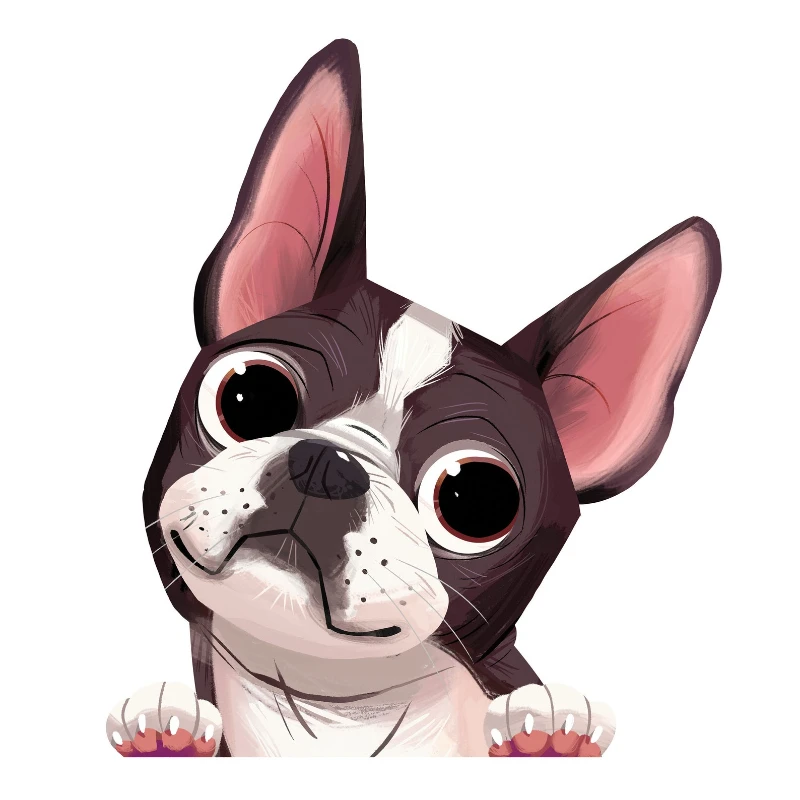 CG Car Sticker Cute Cartoon Pets PVC Decal Boston Terrier Peek Car Sticker on Motorcycle Laptop Decorative Accessories