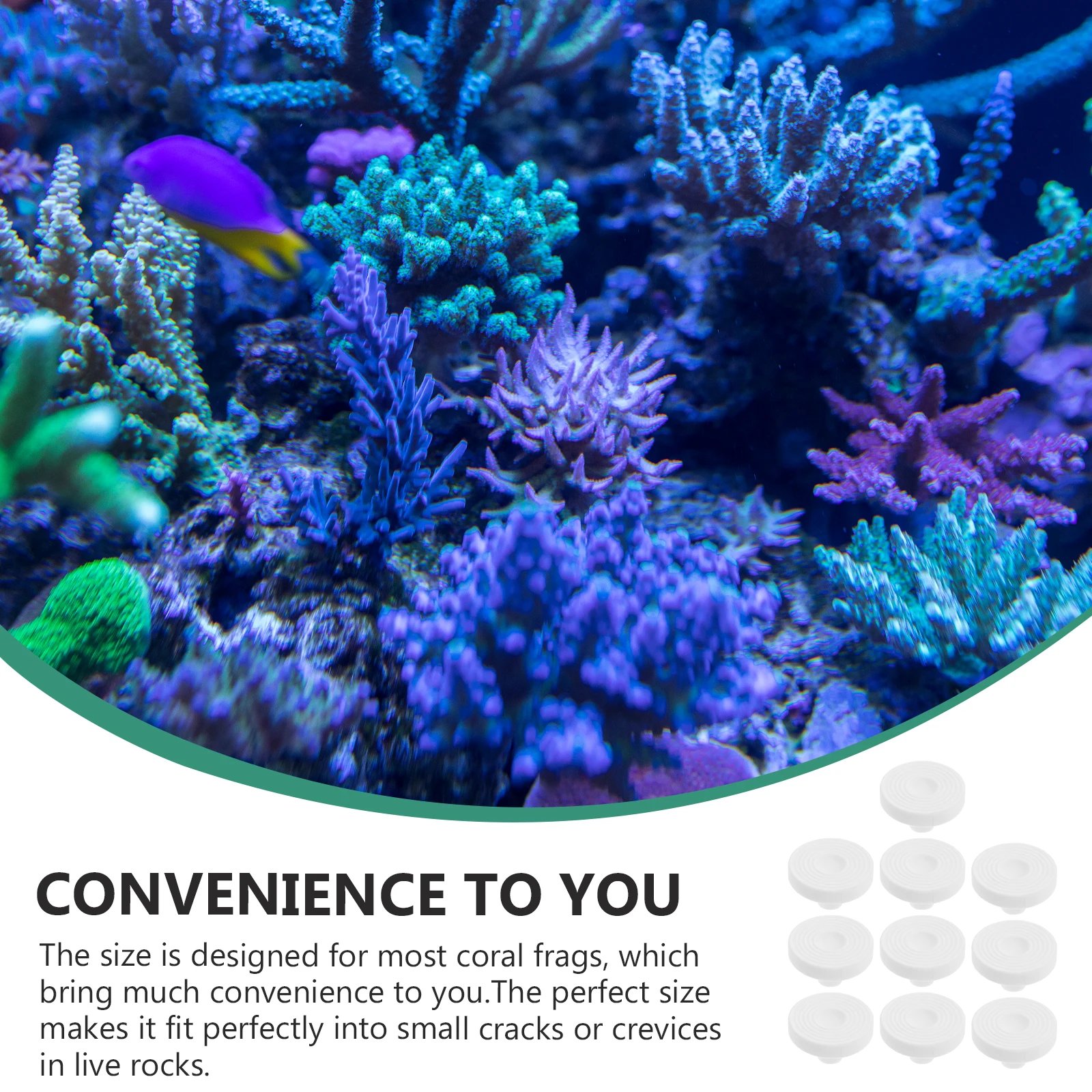 

10Pcs Ceramic Coral Bases Aquarium Coral Holder Breeding Support Fish Tank Supplies Aquarium Accessory Fish Tank Supplies