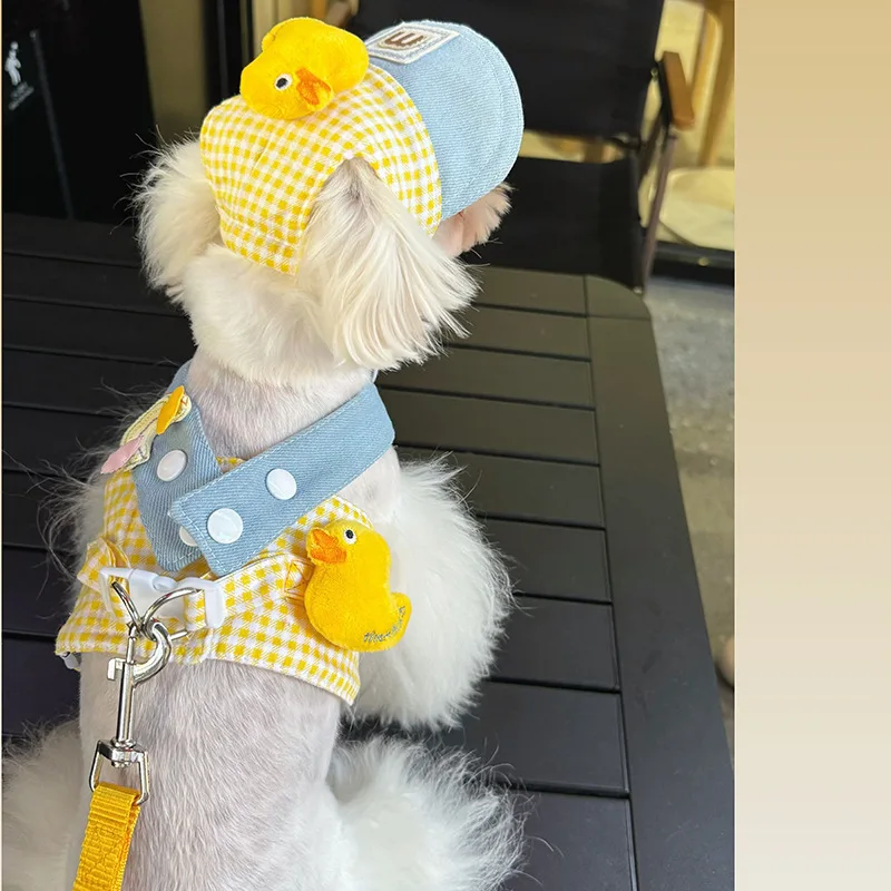 Pet Dog Cat Chest Back Traction Rope Sun Hat Puppy Sun Protection Hat Chest Back Traction Cute Set Small Dog Spring Summer