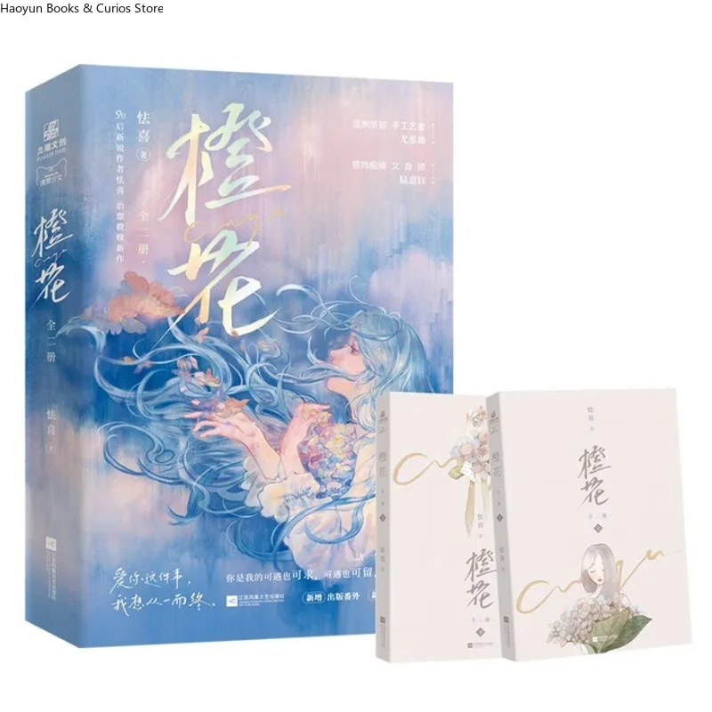 成華（2冊）、切渓、一目惚れの感動的な都会のロマンス     、小説