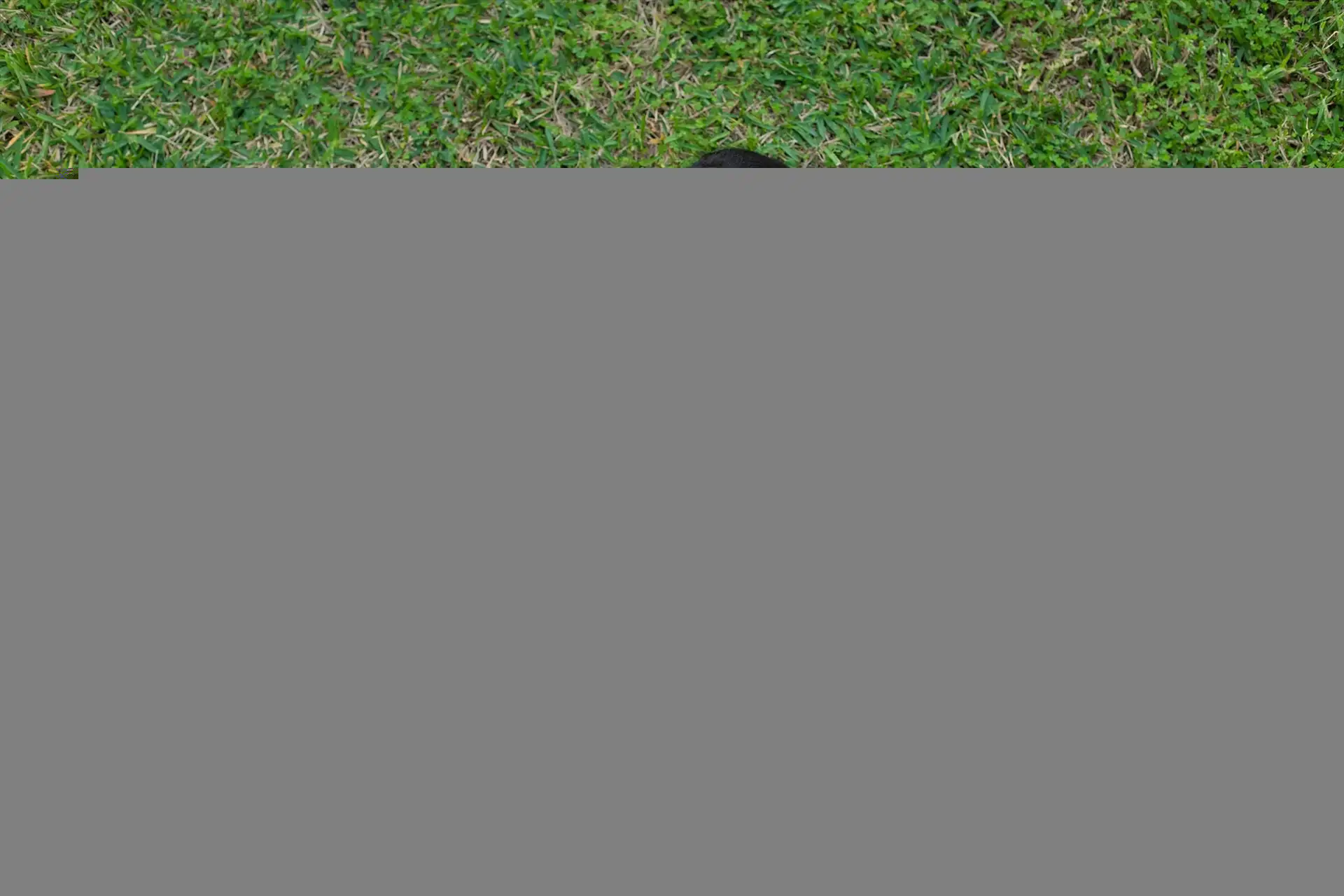 Funny Husky T Shirt…