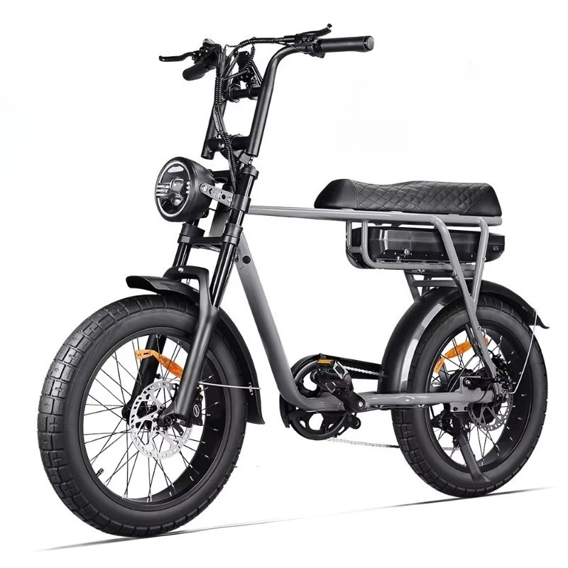 250W 500W 750W 1000w 20 Inch Retro Hybrid Adults  Mountain Fat Tire  Dirt Ebike Electric Bike