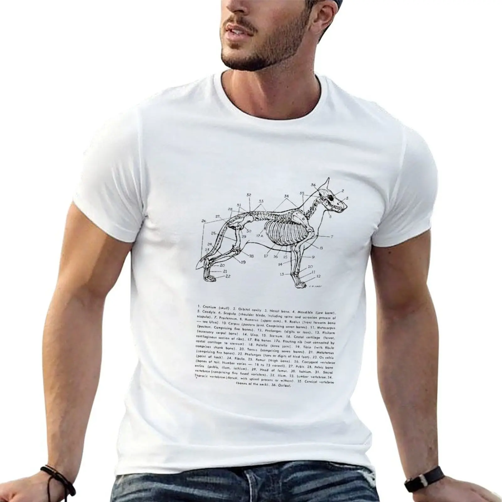 

Skeleton of the Dog T-Shirt cotton t shirt man t shirts for man cotton T-Shirt