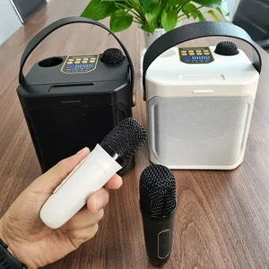 Altavoz Bluetooth de karaoke de alta potencia con doble micrófono Boombox portátil 360 Subwoofer inalámbrico impermeable envolvente 10 mejores altavoz de micrófono de ventas - №8