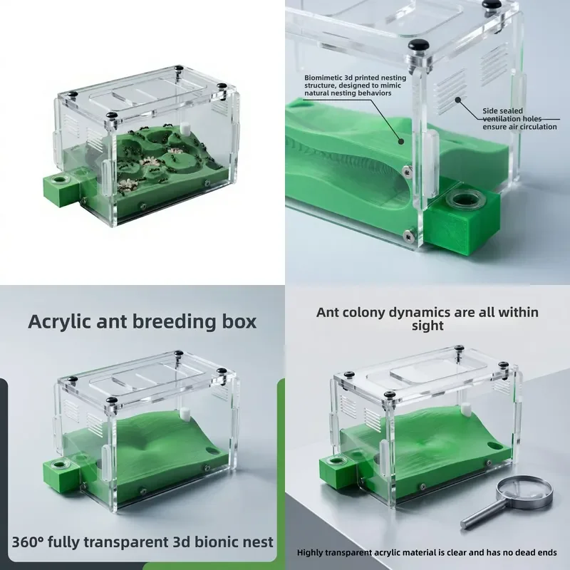 3D Printed Bionic Acrylic Ant Farm Round 360 Degree Fully Transparent Nest Box for Education Reptile Feeding Habitat