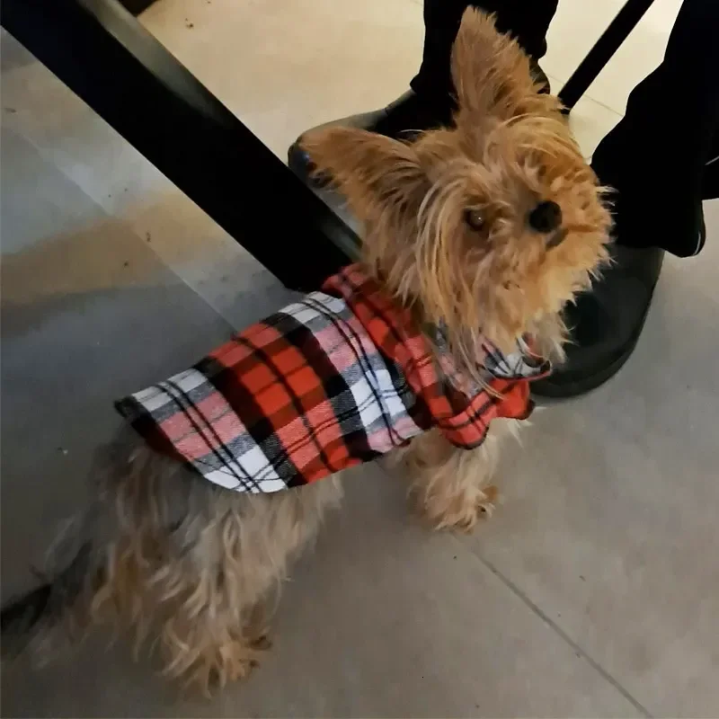 Designer Pet Plaid Shirt Summer Thin Breathable Puppy Clothing Bichon Small Dog T-Shirt Cat Clothes