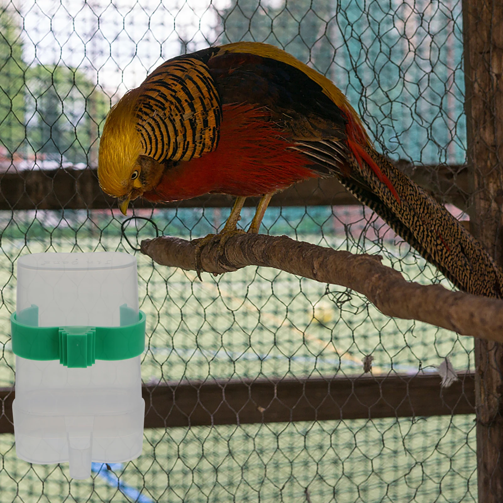 

2pcs Plastic Parrot Drinking Bottle Bird Feeder Automatic Waterer For Small Birds Durable Easy Refill Suitable For Budgie