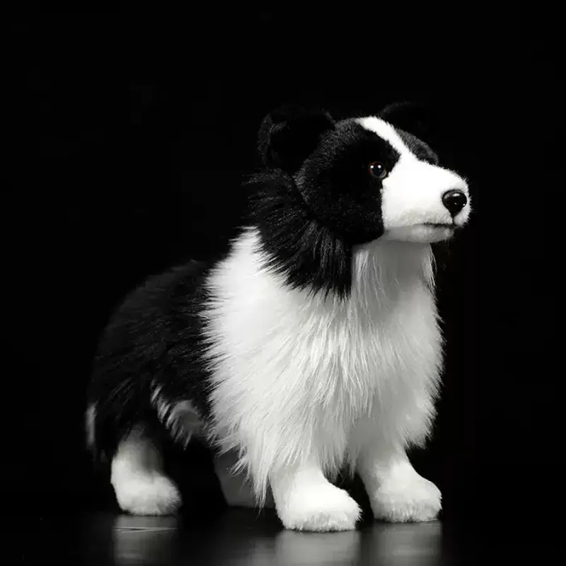 Everbright Store Dog Dog Doll Cute Border Collie Doll Plush Toy - There Will Be Obvious Hair Loss