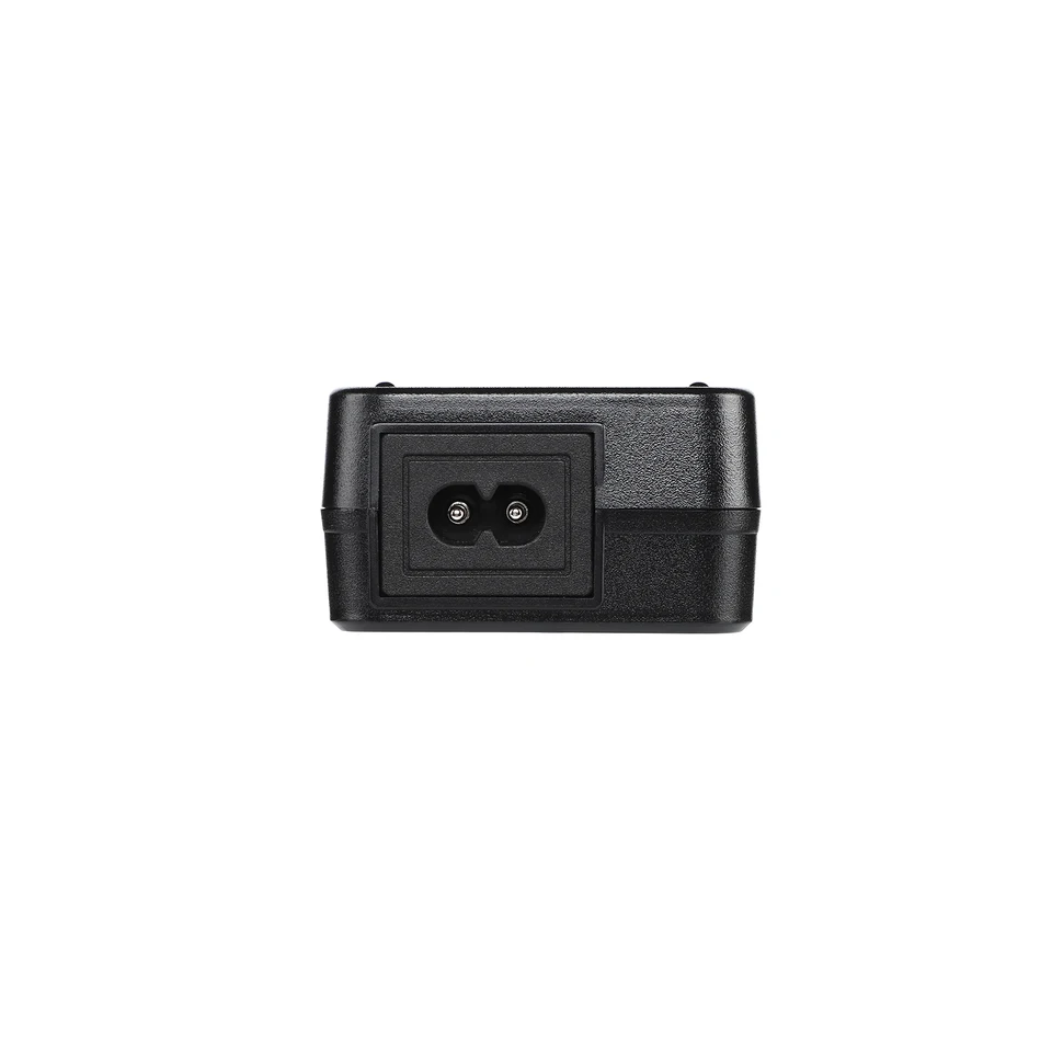 AIYIMA 48V 5A アンプ用Gan電源アダプター電源供給装置 TPA3255