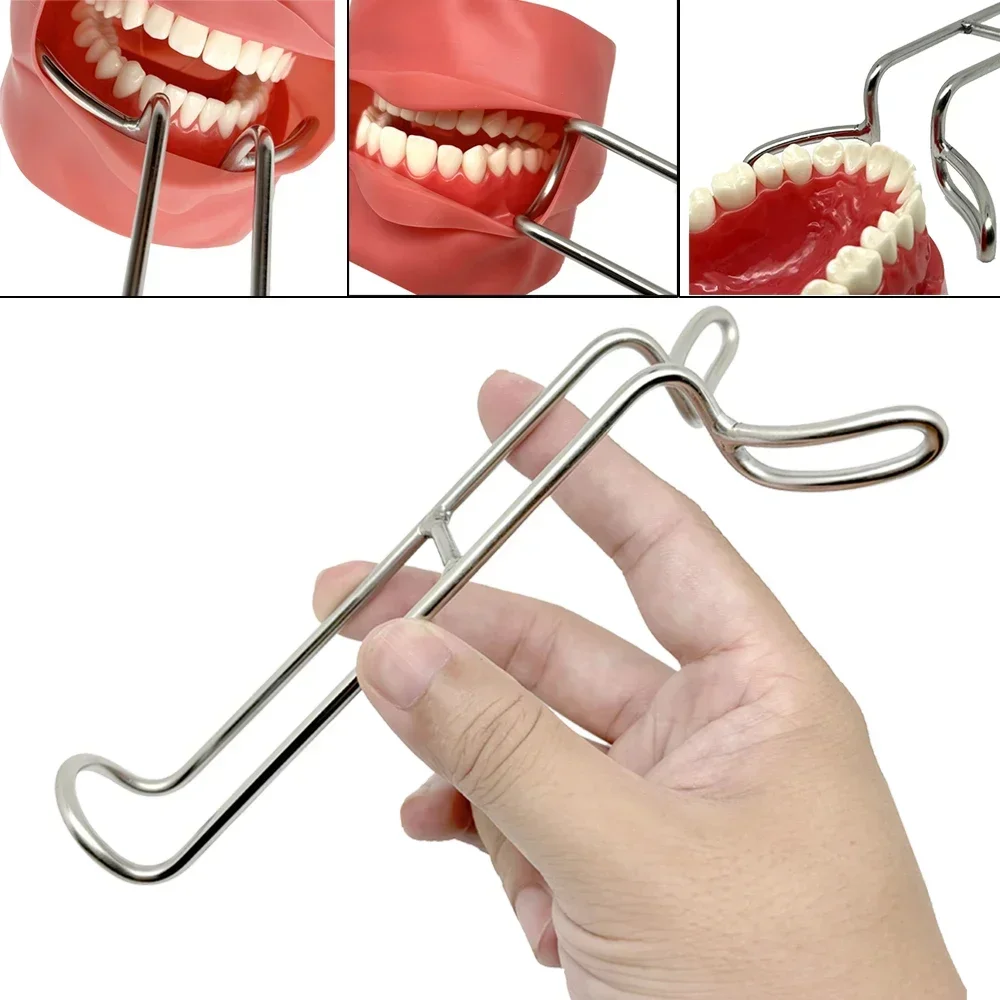 

Dental Double-Headed Mouths Retractor Stainless Steel Dental Mouth Expand Lip Retractor Intraoral Cheek Upper Lower Lip Material