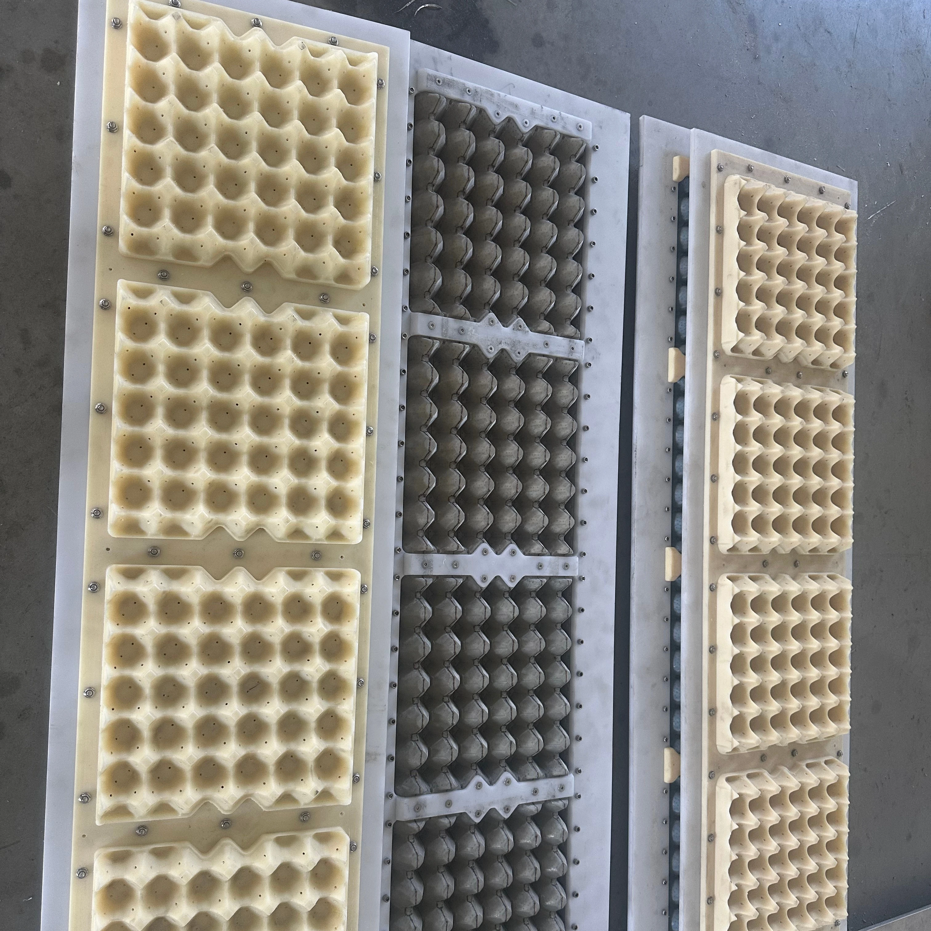 

Customize Egg Crate Mold Same Client's Egg Tray Sample