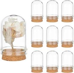 10pcs Cloche Bell Jar, Display Dome with Cork Base 8ml Mini Glass Bottles Dome Decorative Jars Display Case for Flower Storage