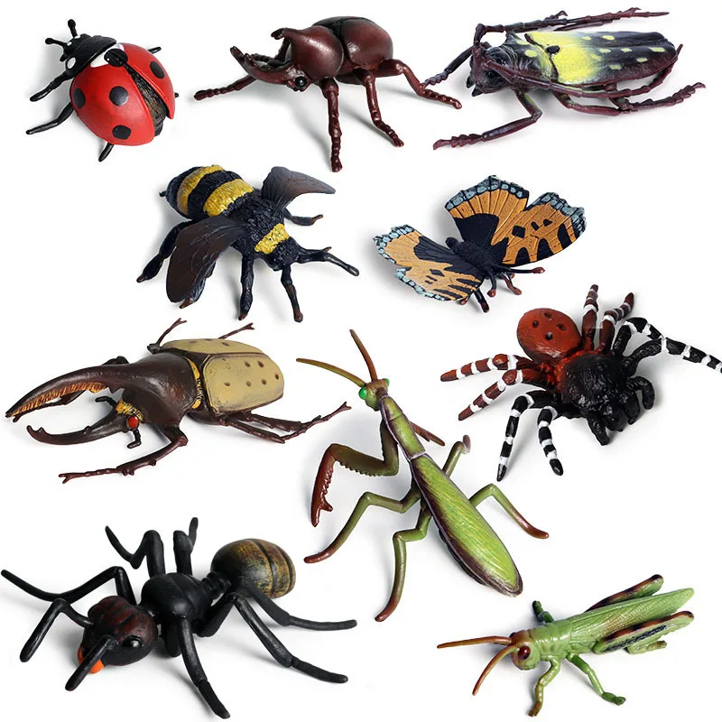 43 أنواع من نماذج الحيوانات والحشرات على شكل فراشة النحل اليعسوب السرعوف النمل الحلزون شخصيات الحركة مجموعة جويت ديكور لعبة تعليمية للأطفال