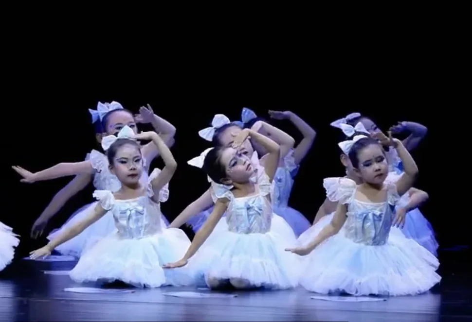 Kids Ballet Dress Girls Lace Sequin Swan Lake Performance Clothes Modern Dance Dress Gymnastic Ballet Performance Tutu Skirts