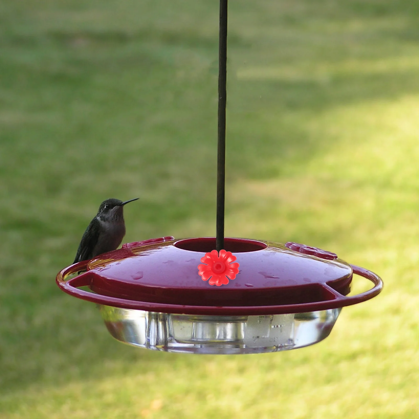 

20 Pcs Bird Feeder Flowers Hummingbird Replacement Durable Plastic Parts Easy Install Realistic Design Attract Birds Outdoor Pet
