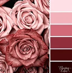 

MJX Hyper Go 14209 14210, металлический задний корпус коробки передач, корпус дифференциала коробки передач 1/14, детали для обновления радиоуправляемого автомобиля, аксессуары