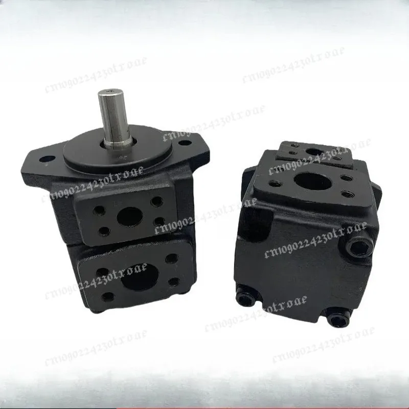1pcs PV2R1- 25/10/12/17/19/23/28/31-F-RAA- 43/42/41 vane pump