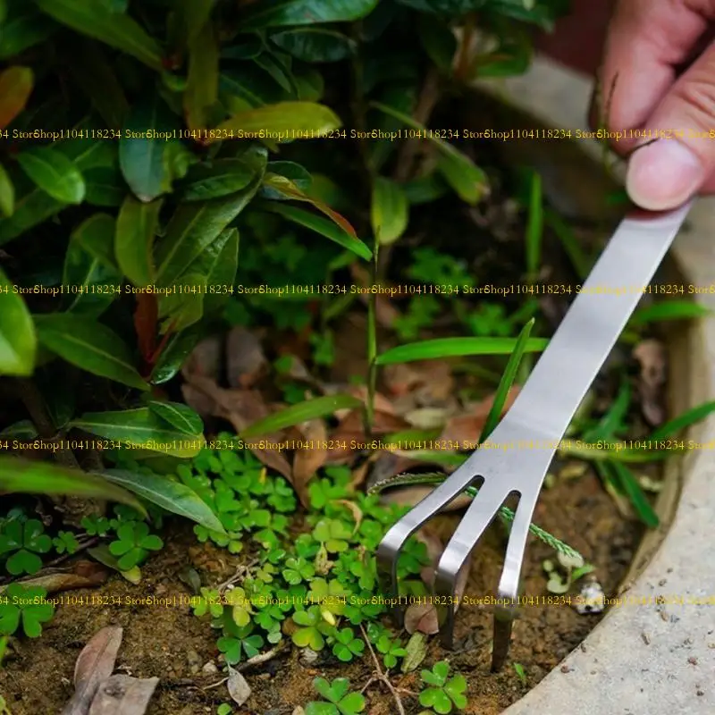 P9FB 1/2PCS BONSAI ALIMENTOS ANTES ATELA RAINTO ATENAS AÇO PARA MANUTENÇÃO PLANTAS E