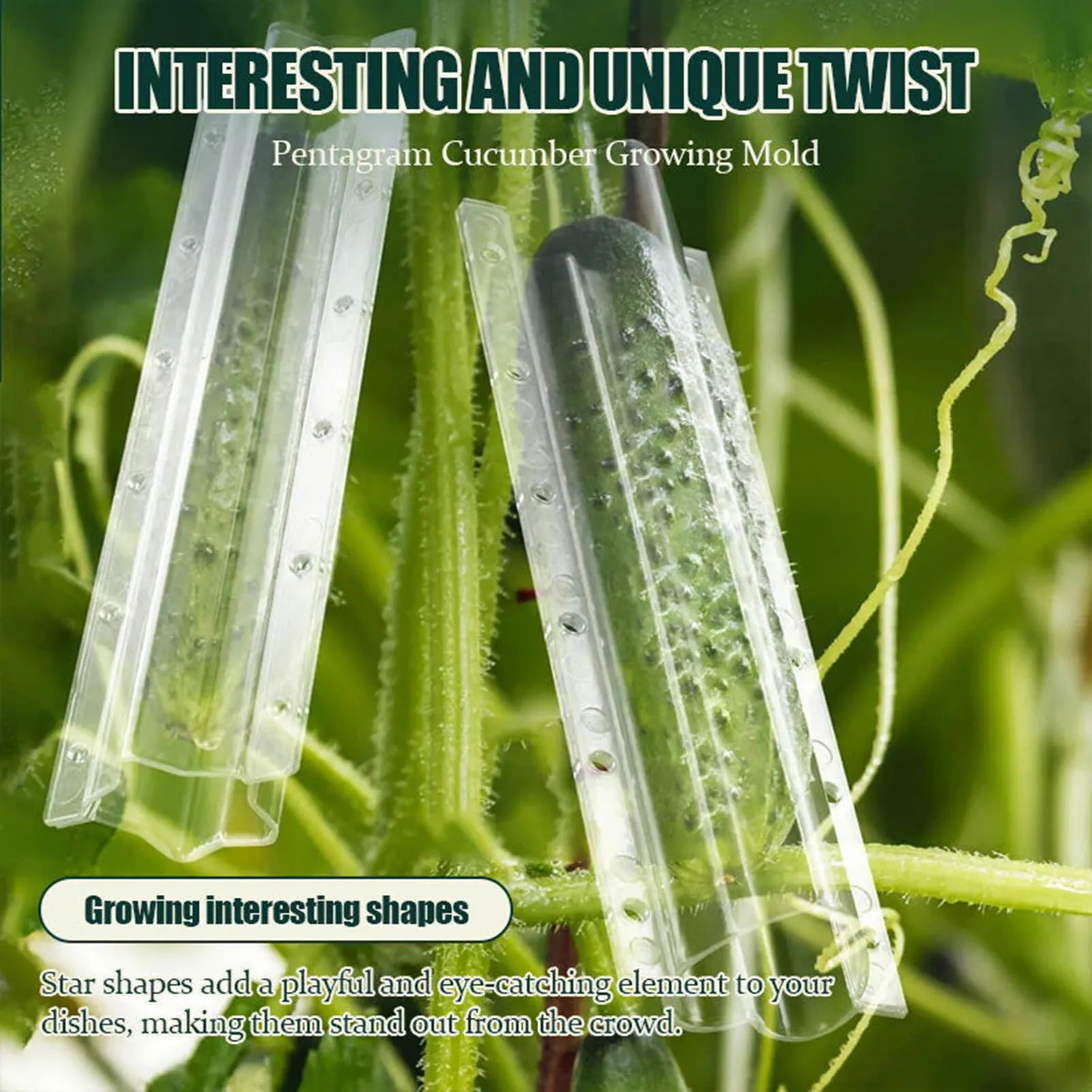 Vegetable Growing Forming Mould Fruit Shaping Growing Mold Transparent Mold Suitable for Garden Yard Backyard