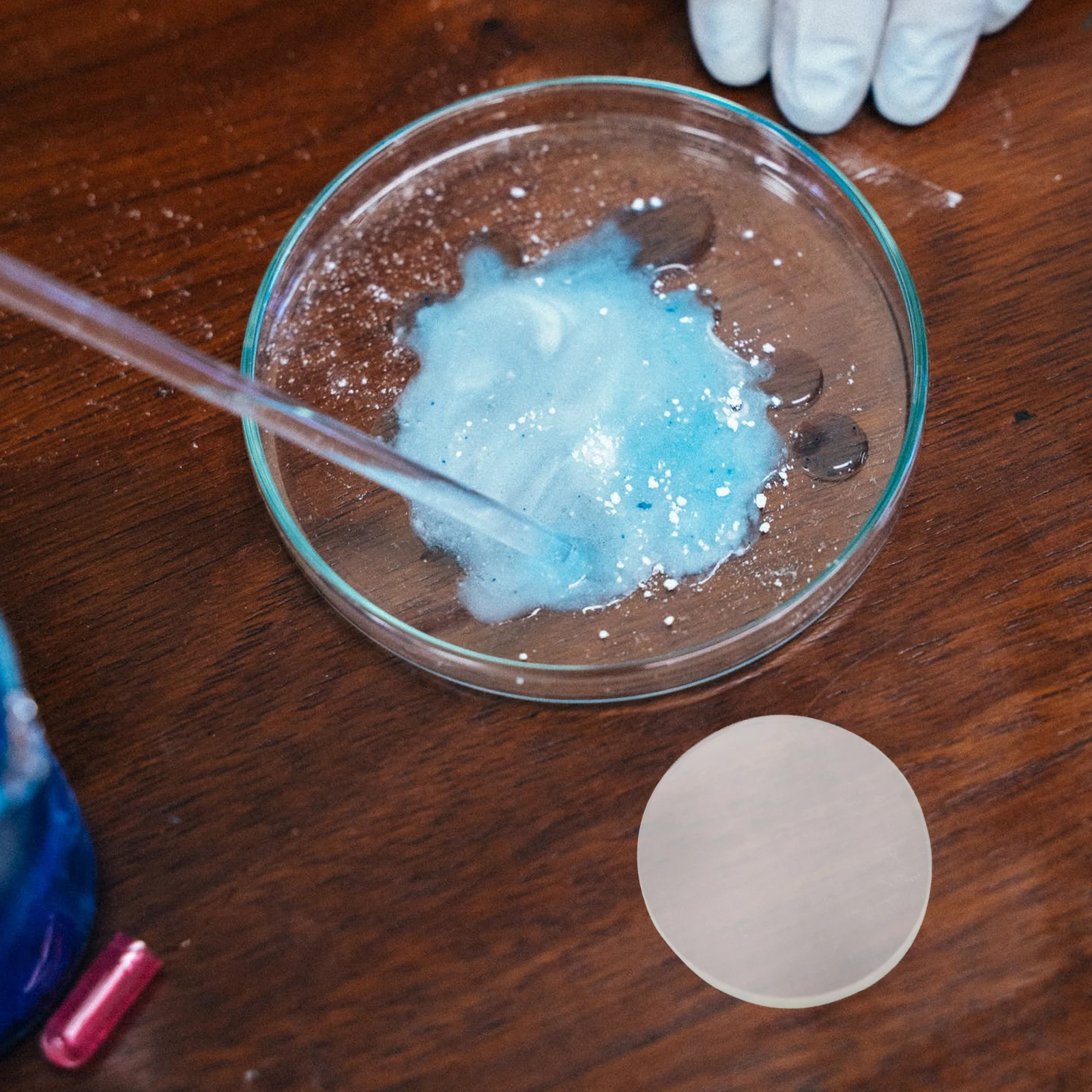 

ULTECHNOVO 10 pcs Transparent Beakers Flask Cover 60mm for Lab Watch Glass Culture Dish Chemical Use High Transparency