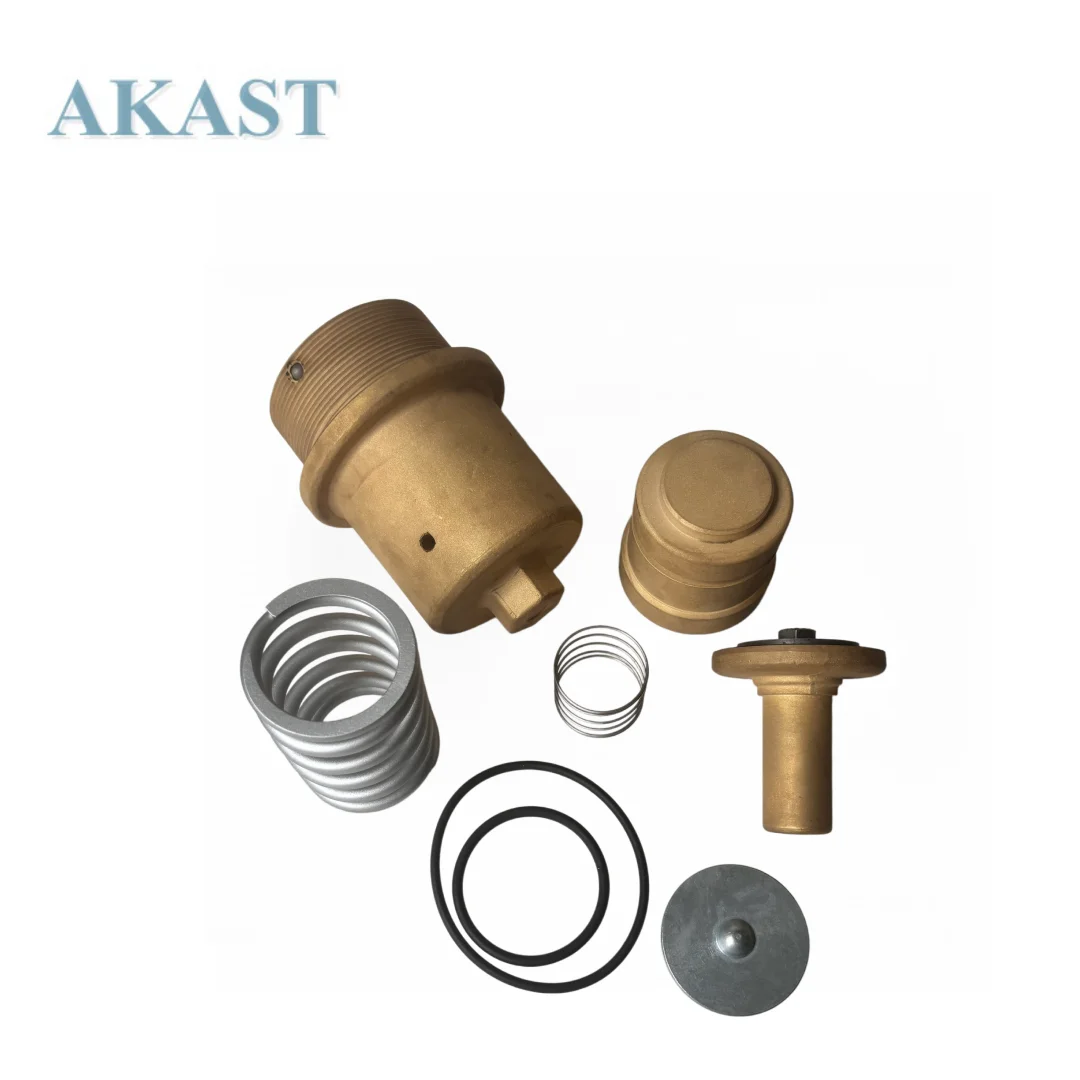 Kaeser MPCV Overhaul Kit Replacement - 202127.20021