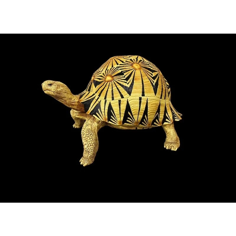 Full flower radiation black radiation tortoise model climbing pet model tortoise figure tortoise realistic