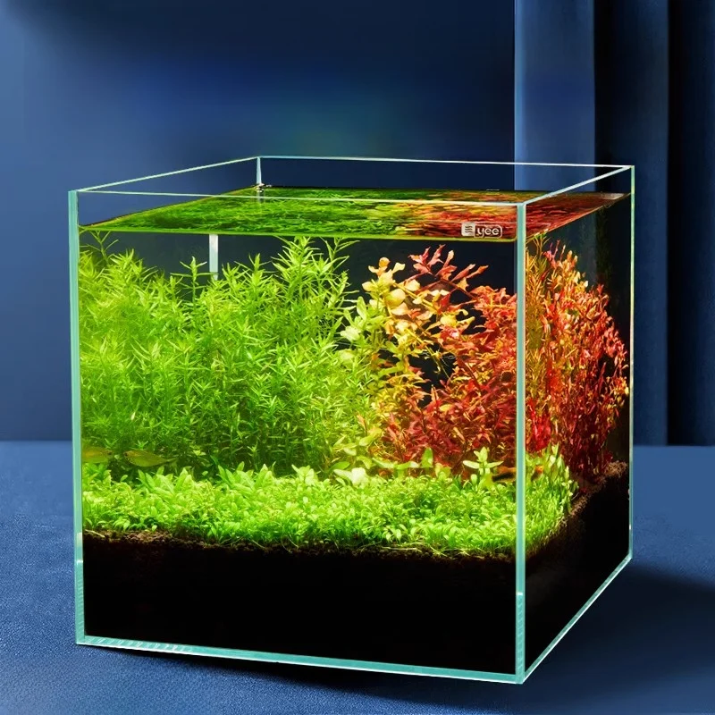 yee-ultra-white-glass-aquarium-eco-system-desktop-fish-tank-for-living-room-display-fish-turtles-square-shape-small-size
