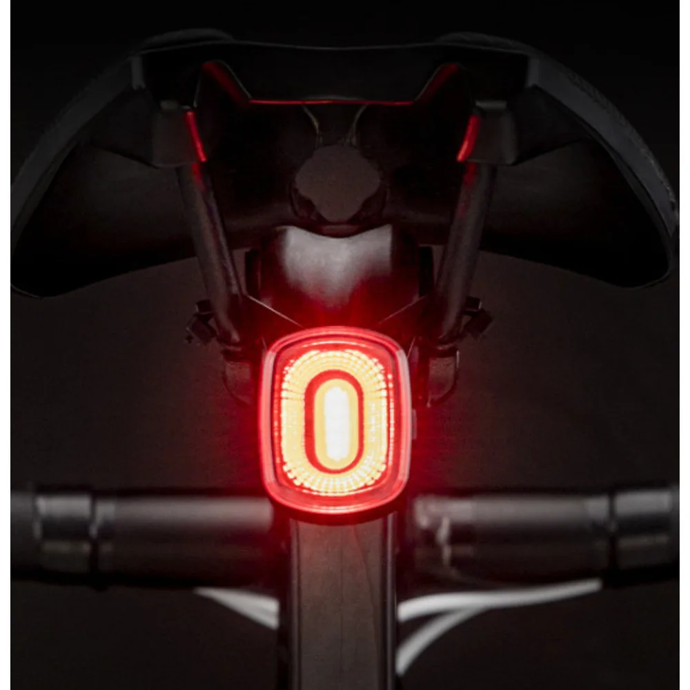 Rock Brothers Bicicletta Fanale Posteriore Notturno Luce di Freno con Rilevamento Intelligente Attrezzatura per Bici da Strada di Montagna Accessori per Equitazione_voghion.com