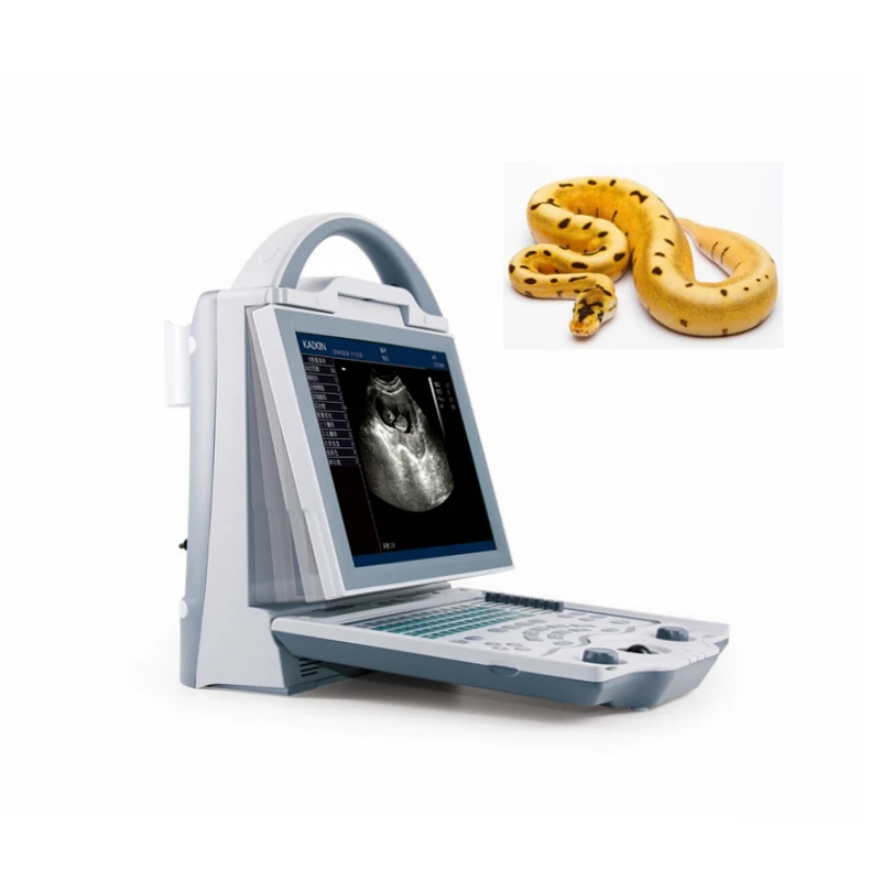 Kaixin KX5600 laptop vet ultrasound machine for dog/cat/pig/camel