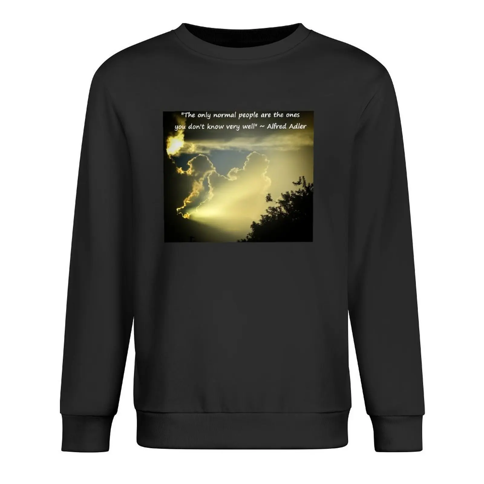 

Normal people are the ones you don't know very well Pullover men's coat men's winter sweater men clothes graphic sweatshirts