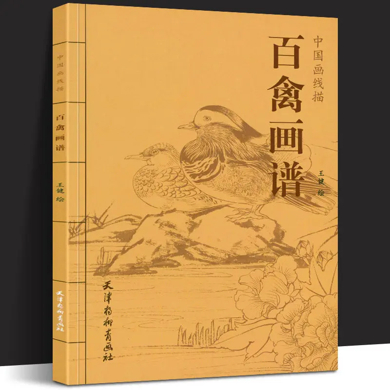 Bird Drawing Tutorial Book Chinese Line Drawing Art Book 100 Bird Sketches Poses Gongbi Style Copy Study Guide Beginner