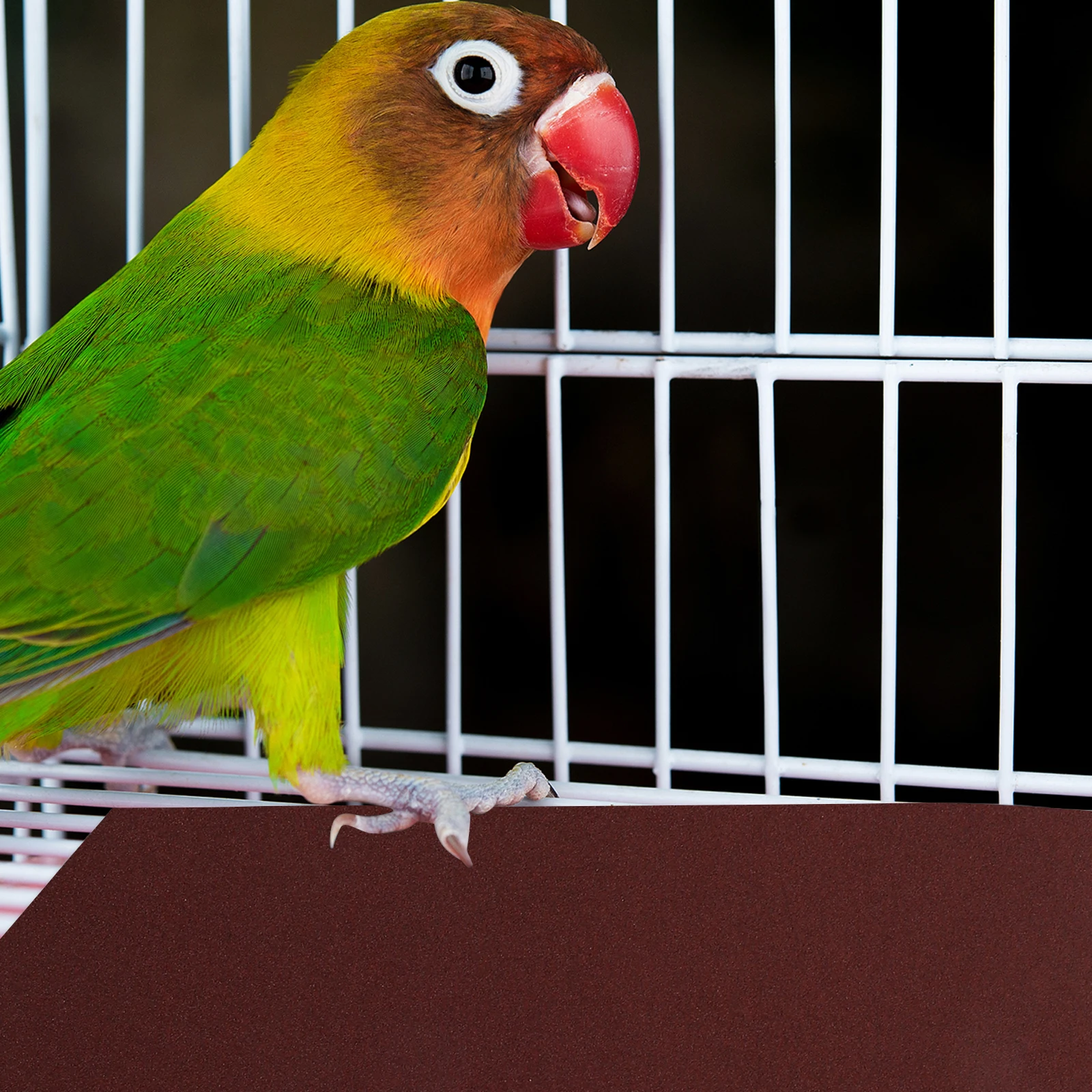 

20Pcs Bird Beak Claw Grinding Sandpaper Sheets Cuttable Bird Cage Liner Gravel Paper Parrot Cage Mat Sandpaper Sheets