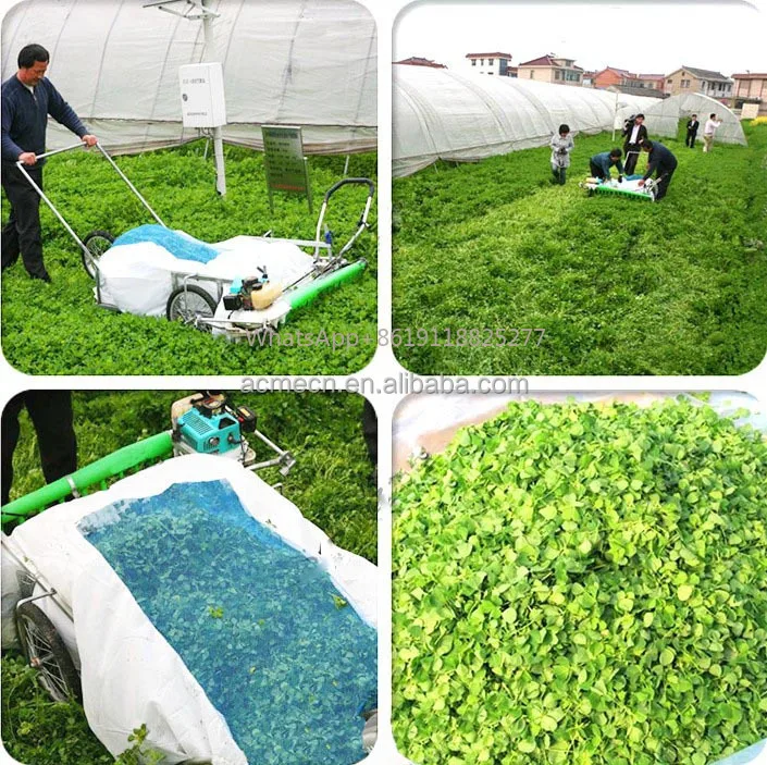 Small portable type tea harvest machinery tea-leaf picking machine for sale