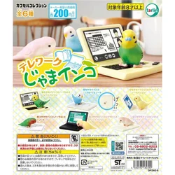 Gashapon Toy Desk Top Disruptive Parrot Budgerigar Cute Pets Model Gachapon Figure Ornaments