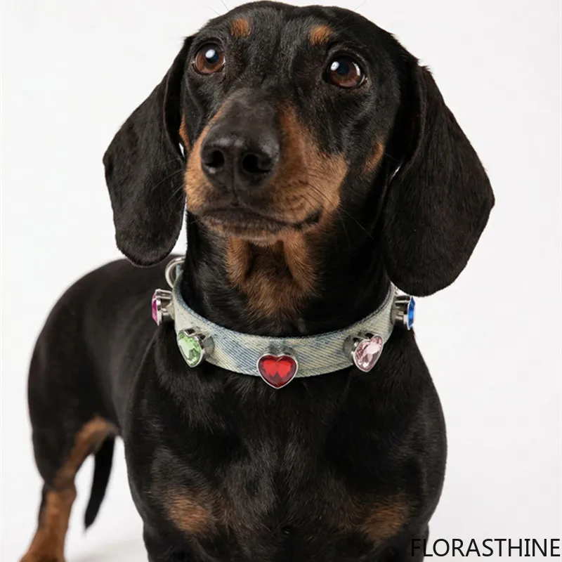 collari-per-animali-domestici-in-denim-di-design-per-cani-di-piccola-e-grande-taglia-accessori-per-cuccioli-di-barboncino-schnauzer-bassotto-correa-perro