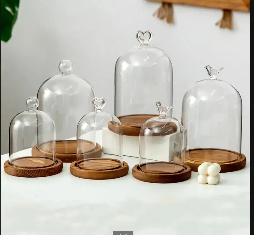 Preserved Flower Glass Cover Dust Cover Wooden Pallets Display Stand Ornament Crafts Decorative Stand Desktop Decorative Shelves