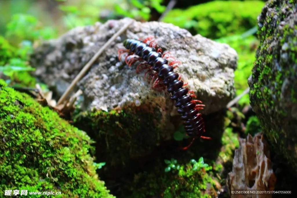 

Высокоскоростная машина на радиоуправлении с бесщеточным двигателем, металлические улучшенные детали, совместимые с Scy16101pro 16102 16103 16201