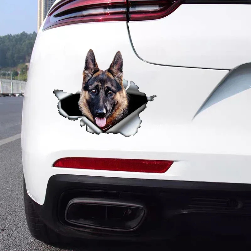 

Car sticker, bumper waterproof sticker, rear window, laptop, German Shepherd, pet, dog