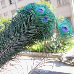 10Pcs/lot Natural Big Eyes Peacock Feathers for Crafts Wedding Party Plumes Accessories Table Centerpiece Carnival Decoration