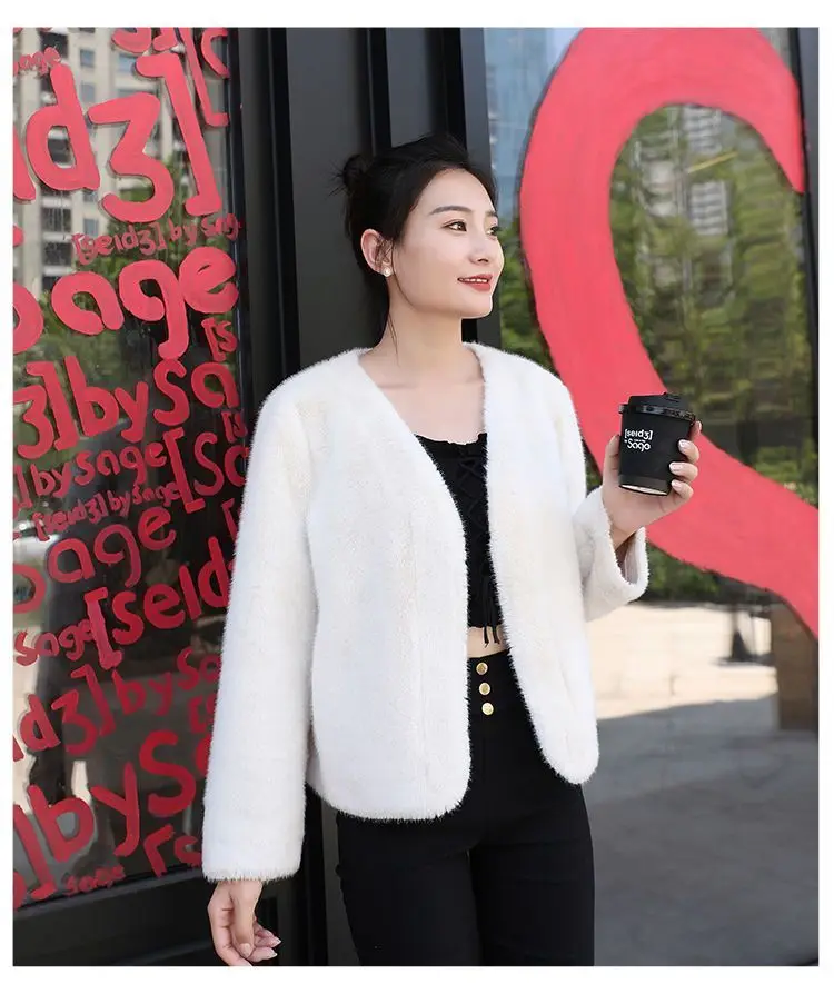 New Rabbit Fur Imitation Fur Coat Women\'s Mink Fur Coat Short and Versatile Internet Famous Plush Coat