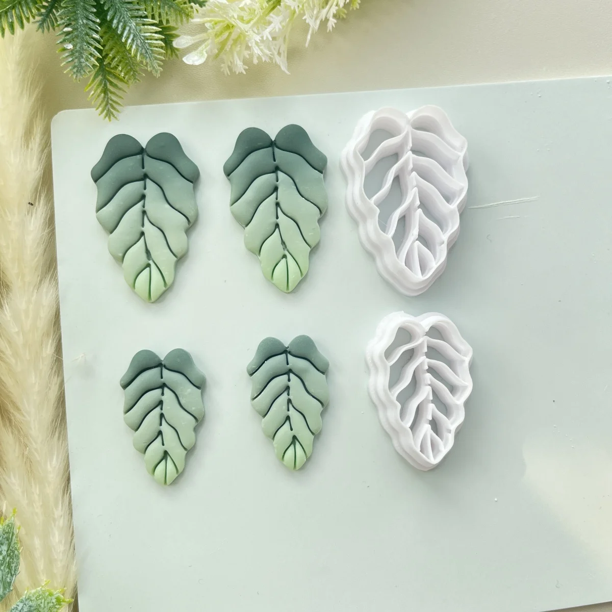 Turtle Leaf Leaves … - image