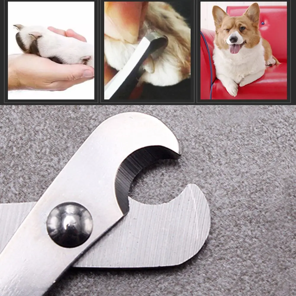 Practical Guinea Pig Cat Claw Dog Toe Stainless Steel Trimmer Nail Clipper Nail Cutter