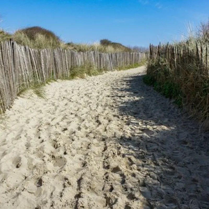 

RS Red Spider 1/10 AXIAL SCX10 III Compatible Easy Control 4017 Monkey Tires + Aluminum Rims R226 – Durable, High Performance