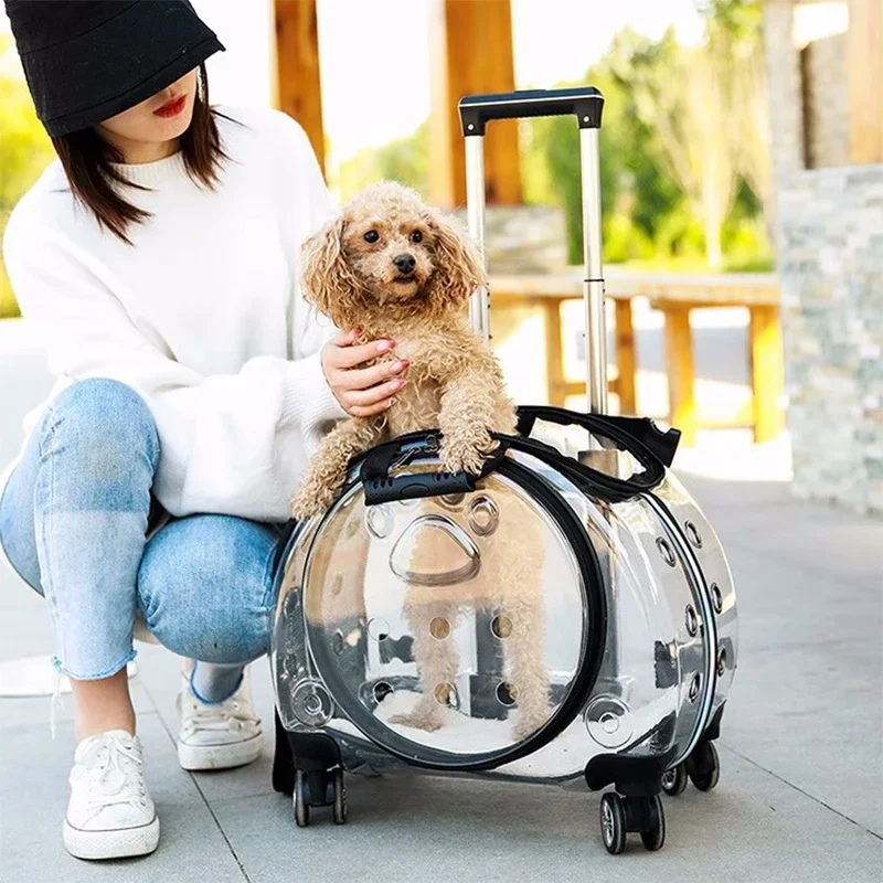 Small Handbag Cats Carriers Transportin Outdoor Kitten Hamster Cats Carriers Rabbit Wheels Jaula Para