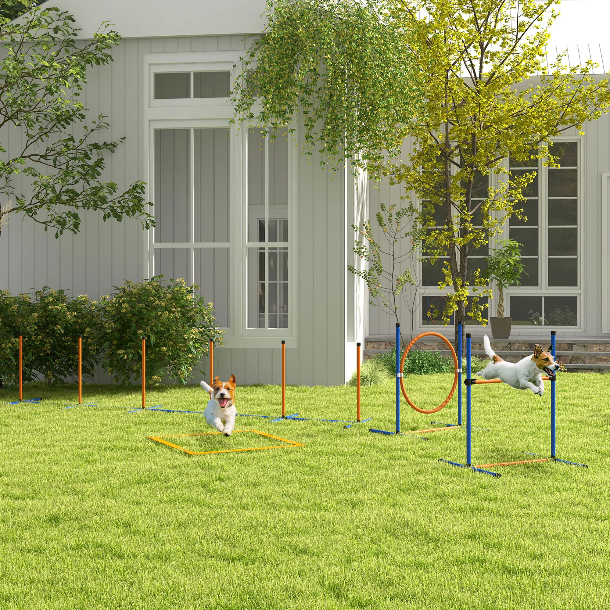 PawHut Set de Entrenamiento de Agilidad para Perros de 4 Piezas Naranja y Azul