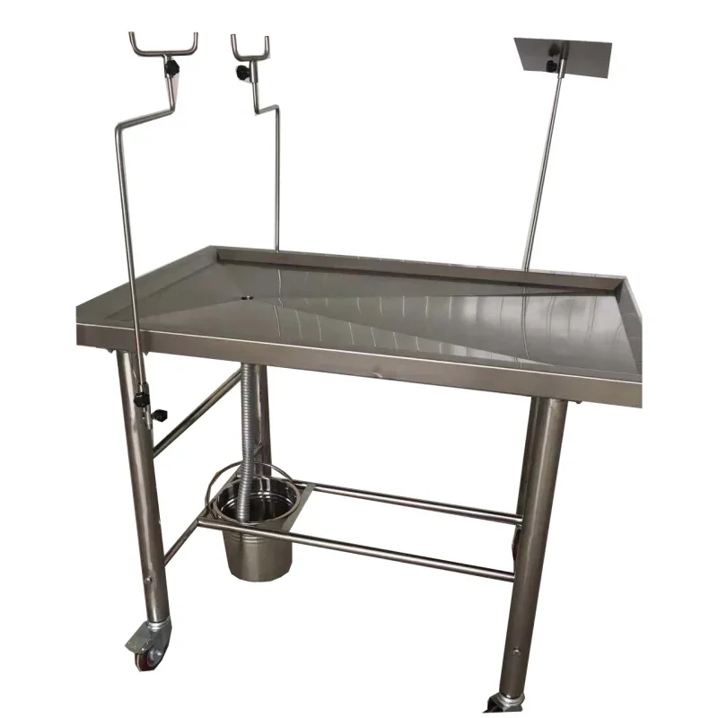 a forRoundfin Veterinary Surgical Equipment Animal Surgical Anatomy Table Vet Operating Table