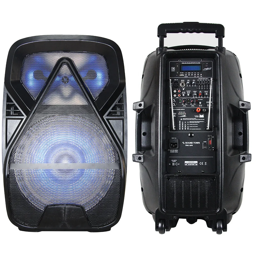 Sistema de Sonido Profesional de 15 Pulgadas y 500 W con Luces LED para Fiestas, PA/DJ Inalámbrico, Karaoke, Micrófono, FM, Bocina, Parlante