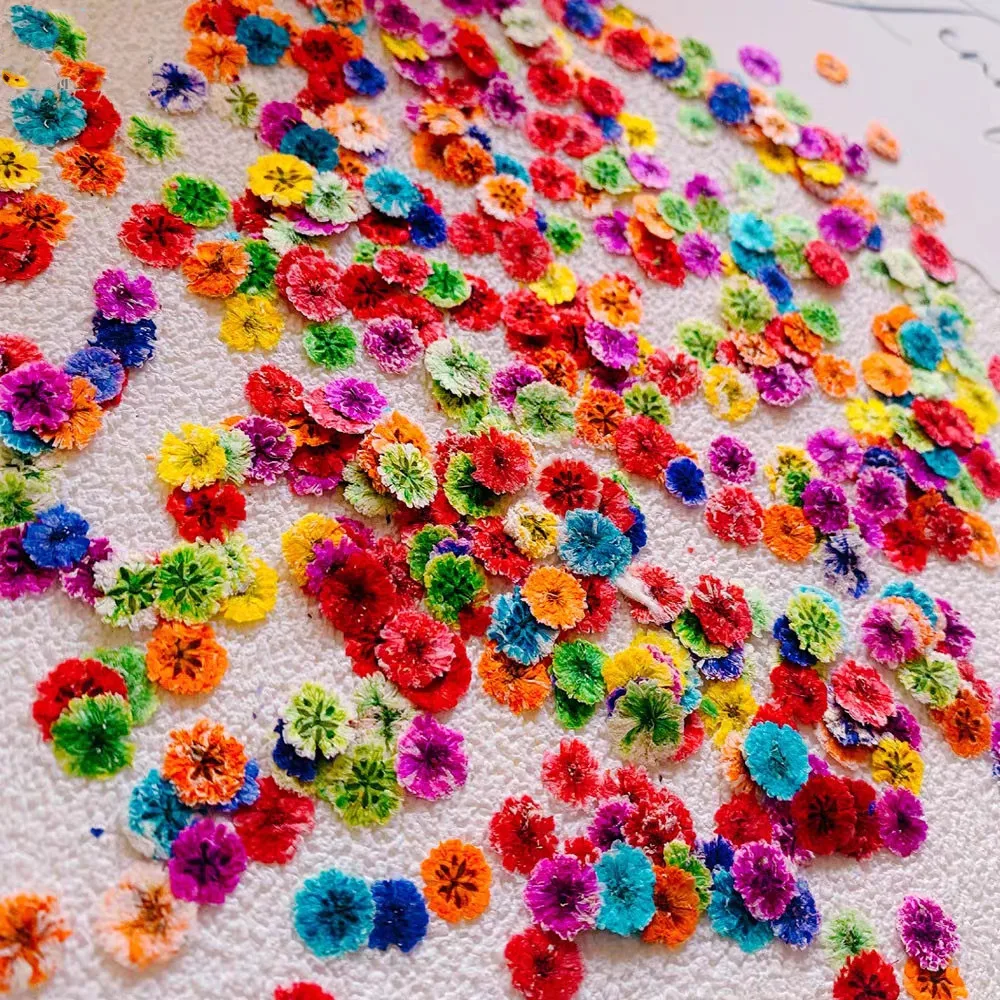 

120pcs Pressed Dried Multicolour Gypsophila Flower Head Herbarium Resin Epoxy Jewelry Card Bookmark Frame Phone Case Makeup Lamp