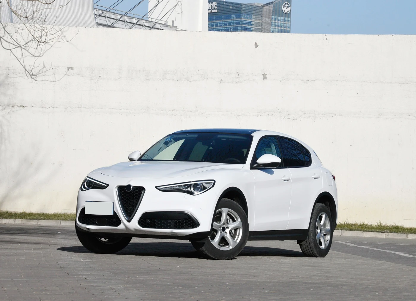 

6PCS Carbon Fiber Pillar Posts Door Window Trim Cover for Alfa Romeo Stelvio SUV 4-Door 2017-2021