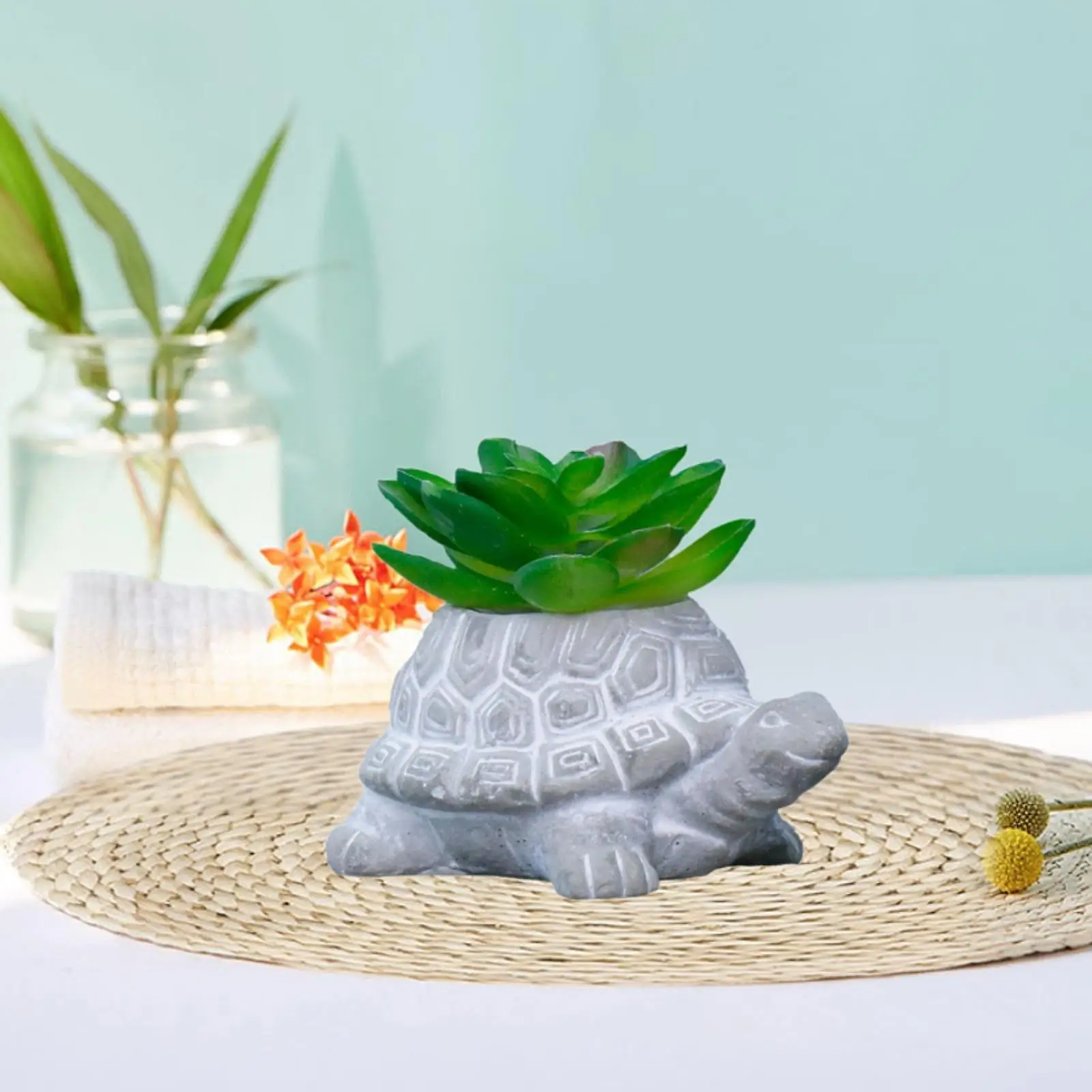 

Turtle Succulent Planter Pot Decorative Lifelike for Cabinet Office Desktop